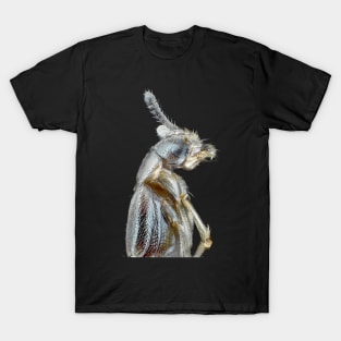 Rove beetle under the microscope T-Shirt